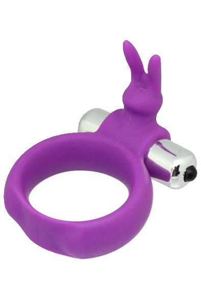 TOYZ4LOVERS Timeless Vibring Purple Penisring med vibrator
