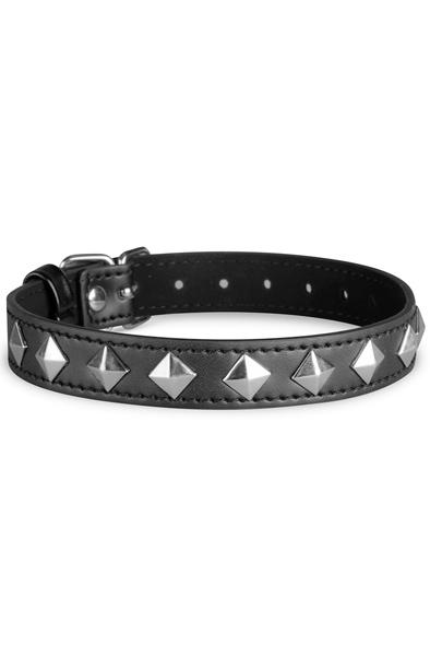 Whipped Cowan Collar Choker