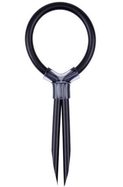 Chisa Stud Cock Ring Penisring