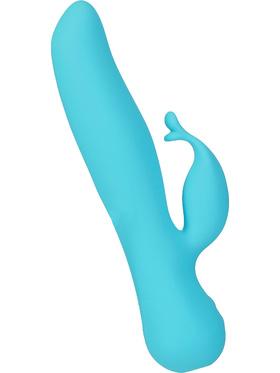 Swan The Kissing Swan