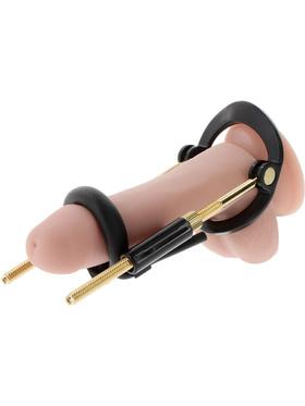 Hidden Desire Fusion X, Penis Growth Training Basic Set