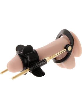 Hidden Desire Fusion X, Penis Growth Training Comfort Set