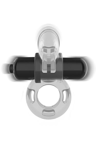 Fry Transparent Vibrating Ring