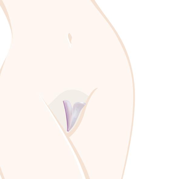 BIKINI SHAPING TOOL BRAZILIAN